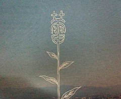 やっと買えた！！！