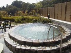 幽霊の正体見たり枯れ尾花