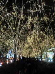 お正月の思い出…