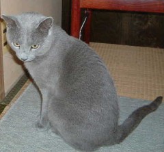 引きずってますねー…