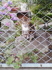 看護師との合コンの注意点…