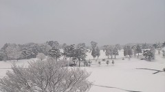 出先の朝の風景