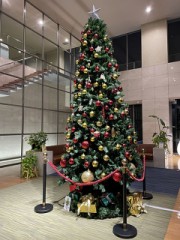 クリスマスツリー