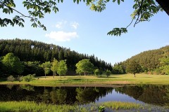 【お題日記】空気読むのってどうするの？
