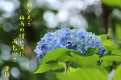 【お題日記】長続きさせるコツってなんですか？