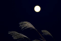 【お題日記】幸せを感じる瞬間を教えて！