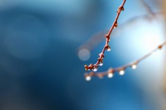 【お題日記】こういう前戯がうれしい