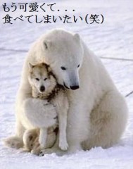 【お題日記】ラブホテルに持ち込むもの