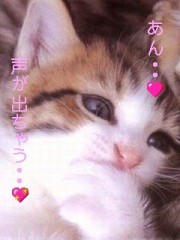 セフレ考．．．