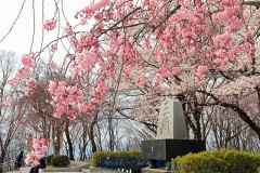 【お題日記】合コン経験ある？