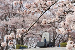 【お題日記】ゲームしてる？