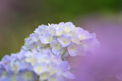 【お題日記】健康には気を使ってる？