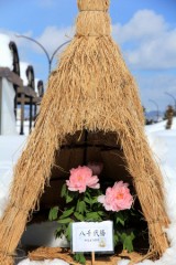 【お題日記】どっちがいい？大勢の友達か一人の親友