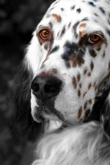 【お題日記】自分はボケ？ツッコミ？