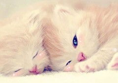 【お題日記】あなただけの恋愛ルール