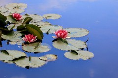 興奮が止まらない！