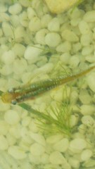 やっとお休み＼(^_^)／