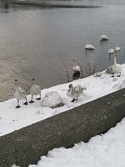 お久しぶり(*´ω｀*)