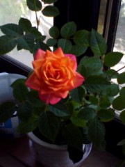 天気予報外れて♪