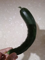 きうり、4本目とれたよ！