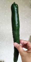 今年初めてのきうり収穫！