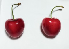 青森ハートビート1つ540円！