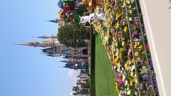 ディズニーランド