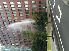 【お題日記】あなたが好きな鍋料理は？