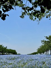 壁紙に使ってもいいですよ♡