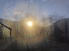 もうしないって言ってたのに・・・・