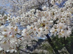 マリコの部屋へ電話をかけて♪