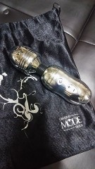 【お題日記】調教したこと、されたことある？