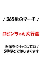 運動会シーズン　この画像で癒されてください。
