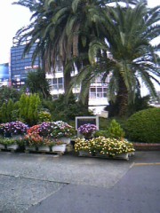 土日　伊豆旅行