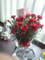 カーネーション