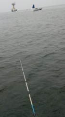 平塚湾キス釣り