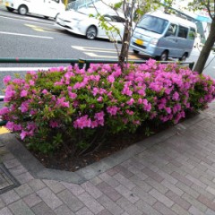 表-デ字ログの続き