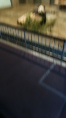 12月11日表のつずき-パンダ