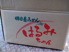 明日香村のみかん