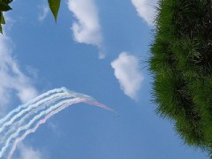 ブルーインバルス