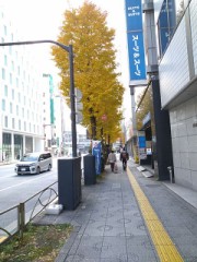 今日　は寒い雨