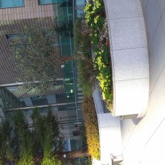 汐留ー日本テレビ