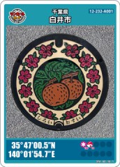 ２３-千葉県-臼井市