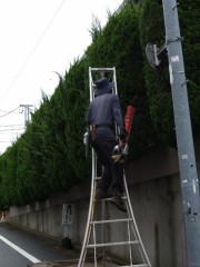 久し振りに暇な日曜日