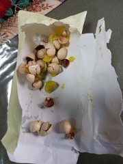 ぎんなん-12/18の続き