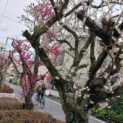 表はすでに書いていたので