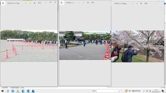 昨日の皇居乾通り