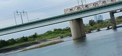 今日は多摩川ー東京側