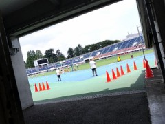 今日の駒沢公園