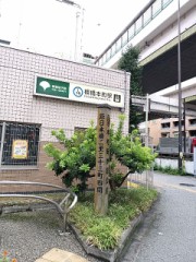 また雨降ってない